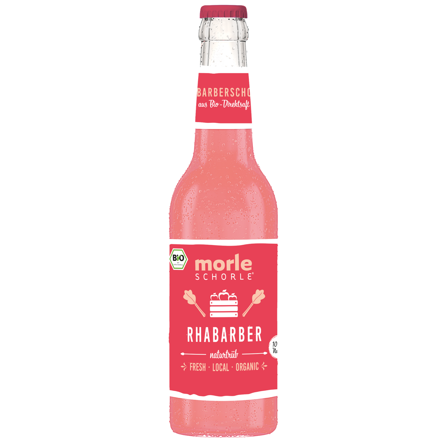 MORLESCHORLE RHABARBER
